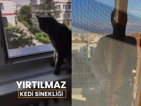 Ankara Kedi Sinekliği - Yırtılmaz Kalite ve Uygun Fiyatlar